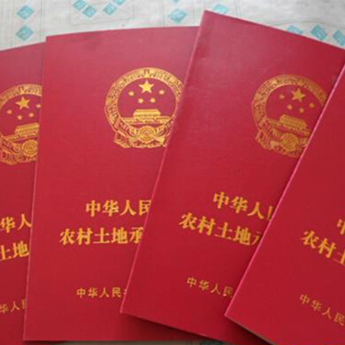 农村土地承包经营权登记颁证项目
