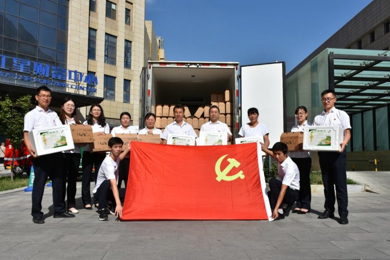 文件1